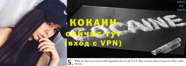 кокс Алексин