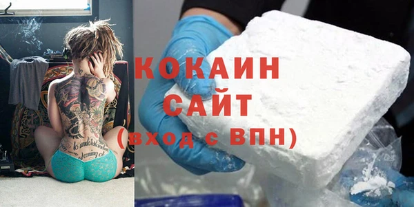 кокс Алексин