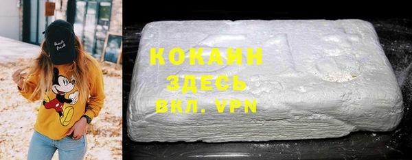кокс Алексин