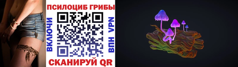 купить закладку  Новороссийск  Псилоцибиновые грибы прущие грибы 