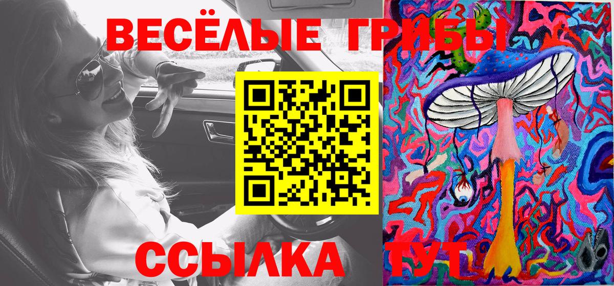 Галлюциногенные грибы GOLDEN TEACHER Новороссийск